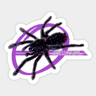 Purple Earth Tiger Tarantula Sticker